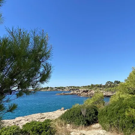 Villa Mimosa With 5bedrooms Air Conditioning & Private Swimming Pool And A Games Ideal For Families L'Ametlla de Mar